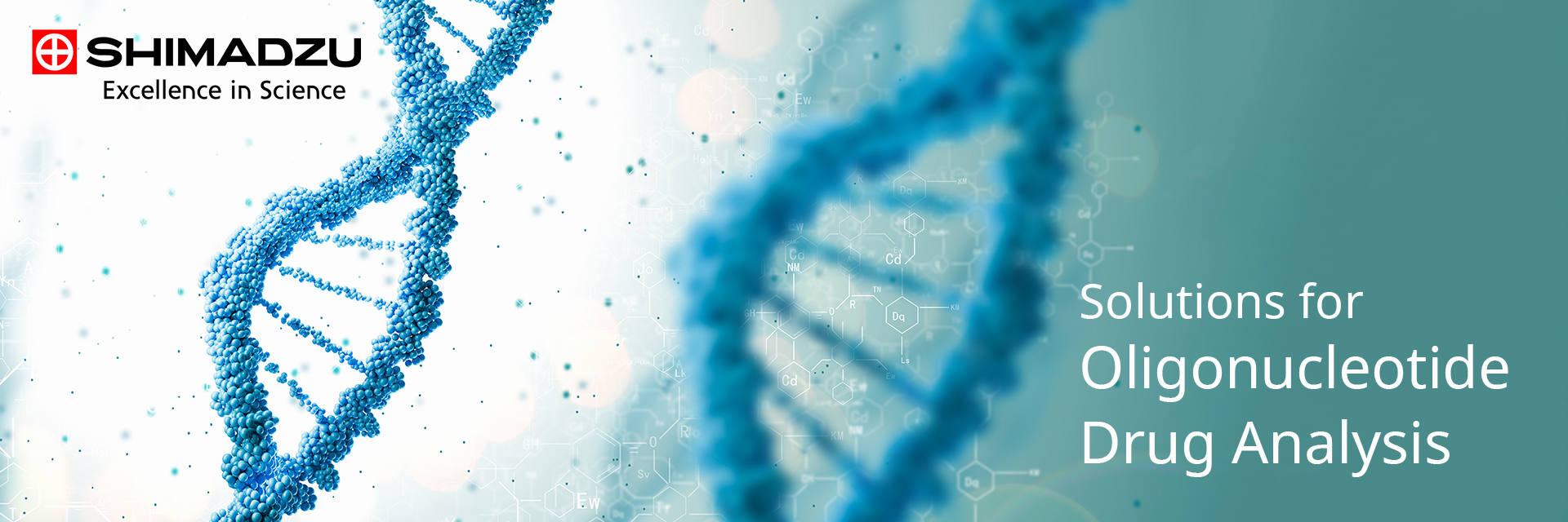 Oligonucleotide Drug Analysis